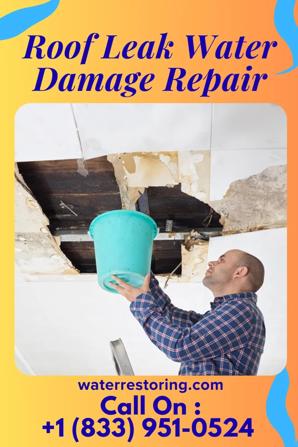 Roof Leak Water Damage Repair in Waterloo, IL